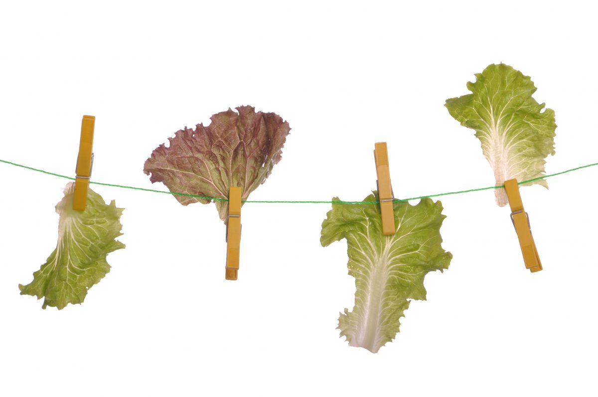 dieta drastica per dimagrire velocemente dieta drastica per dimagrire velocemente